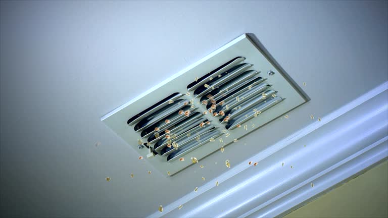 Best Best Air Duct Cleaning Company  in Cleona, PA