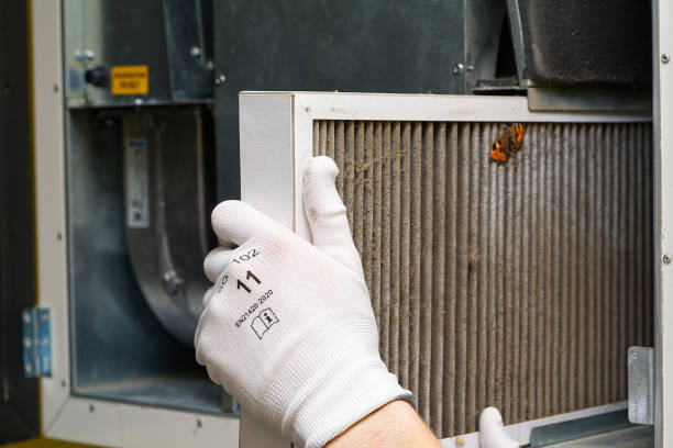Best HVAC Air Duct Cleaning  in Cleona, PA