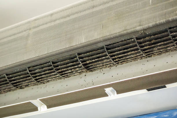 Best Affordable HVAC Duct Cleaning  in Cleona, PA